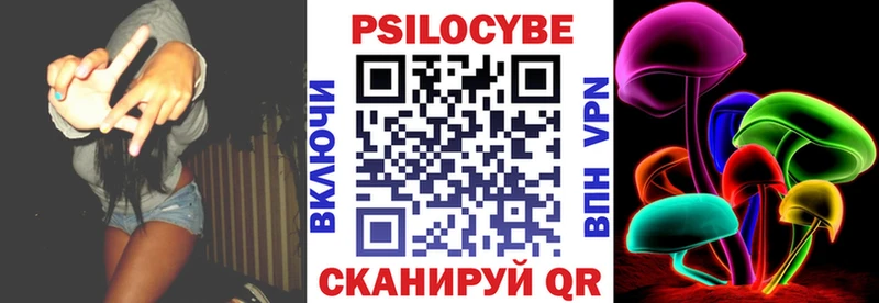 что такое   Высоцк  Псилоцибиновые грибы Cubensis 